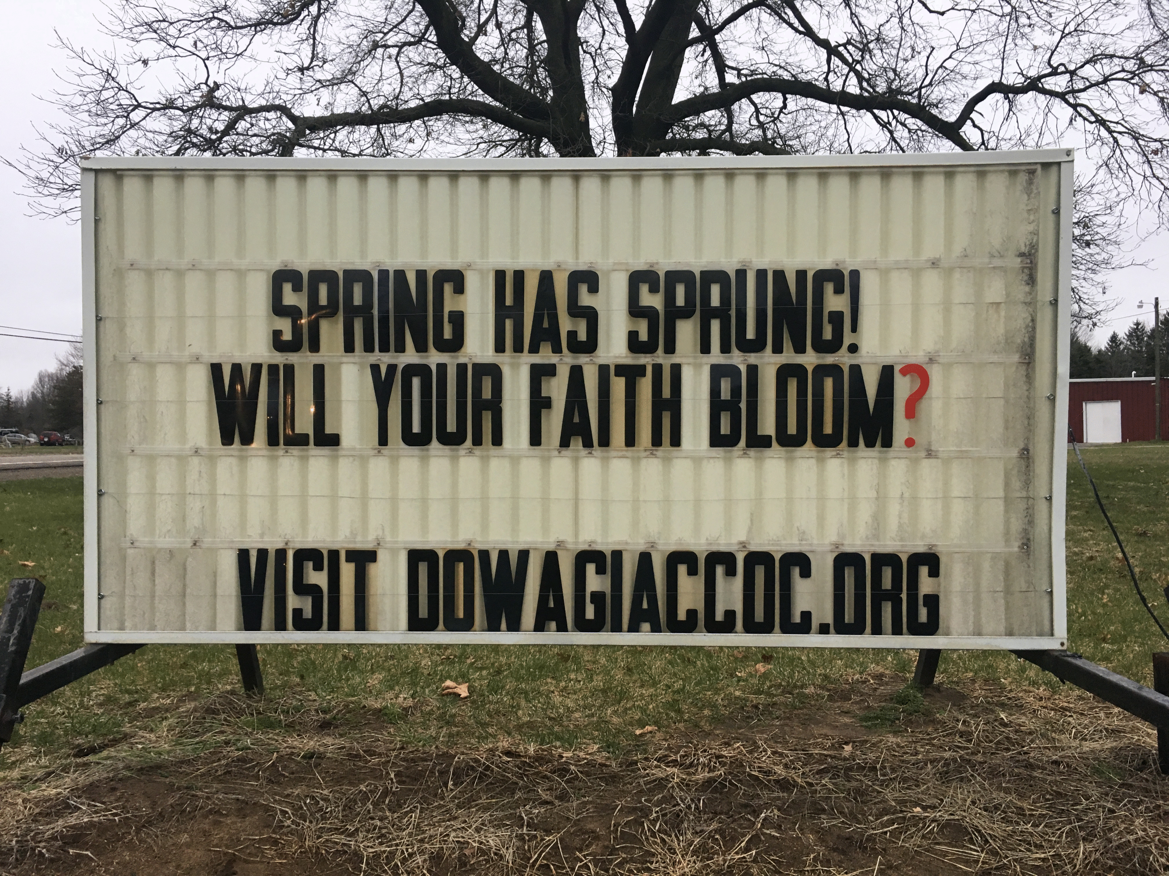 Spring has sprung! Will you faith bloom?